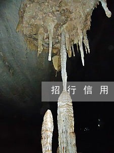 招行信用卡还款 逾期 招行信用卡还款 逾期